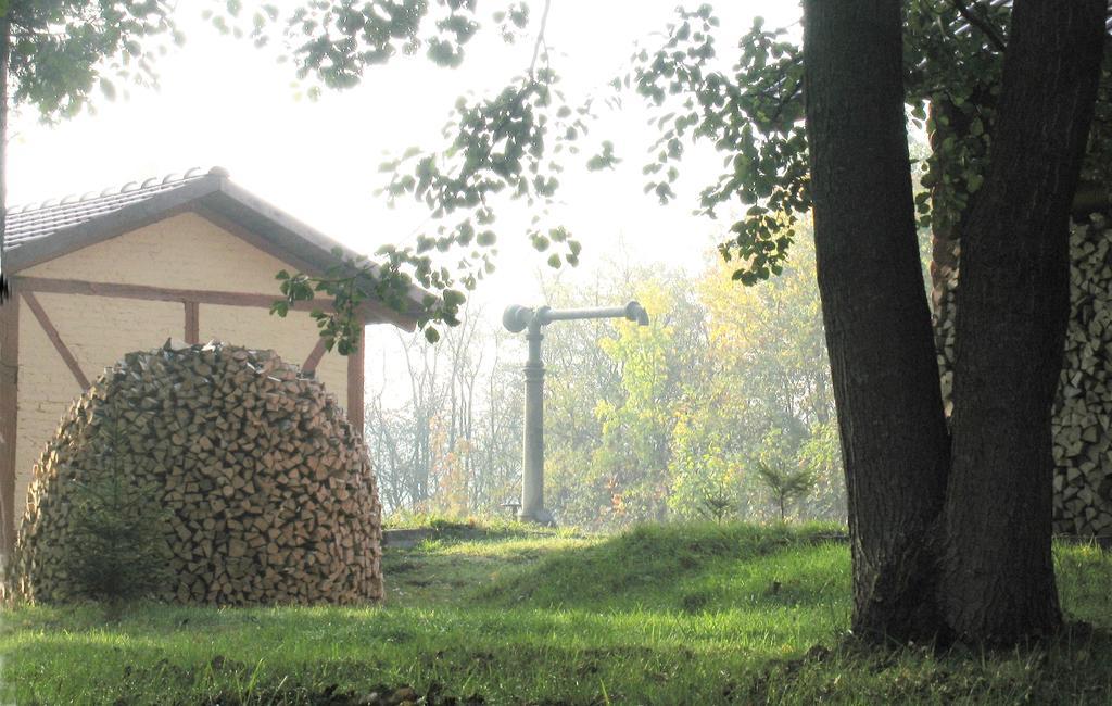 Apartamenty Carskie Białowieża Exteriör bild