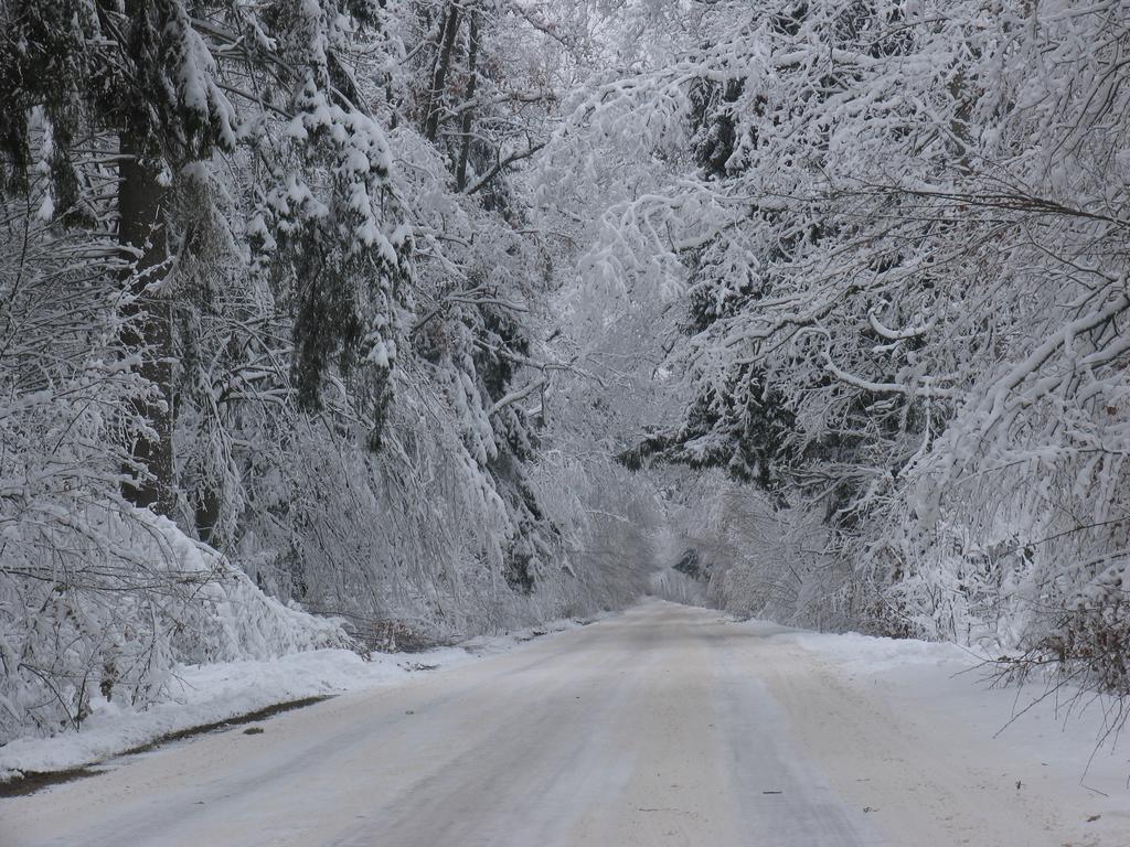 Apartamenty Carskie Białowieża Exteriör bild